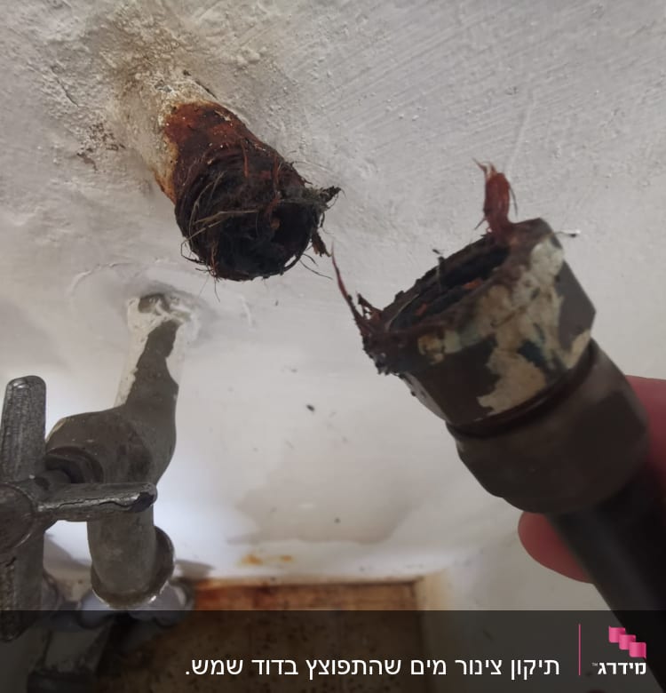 צינור חלוד עם חיבור מנותק מתחת לכיור